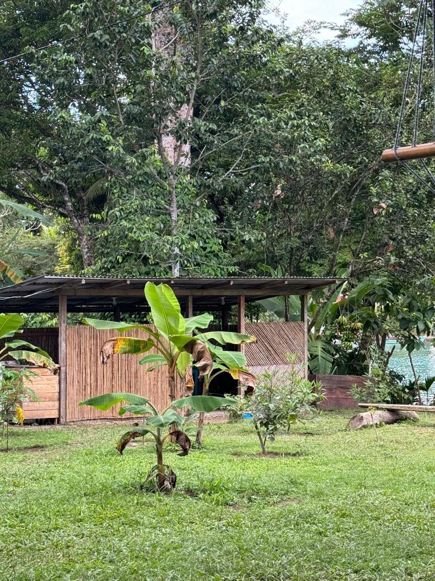 Casa Alma Maison d'hôtes